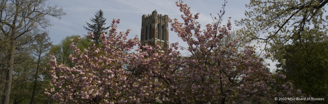 MSU landscape