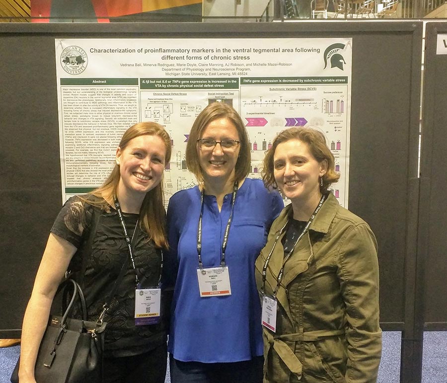 -	MR Lab at SfN 2019